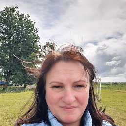 , 52, 