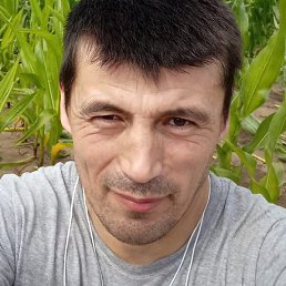 �������, �������, 40 ���