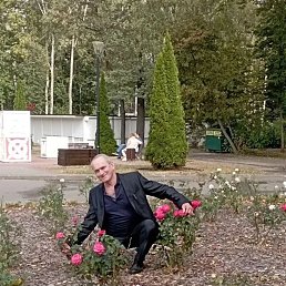 ������, 62 ����, ����