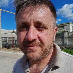 �����, �������, 43 ����