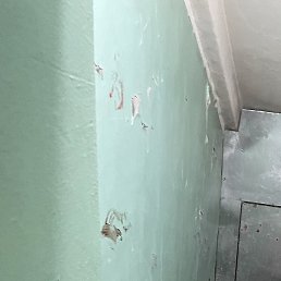 �������, �����-���������, 22 ����