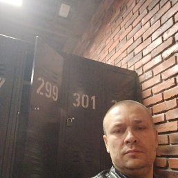 , 41, 