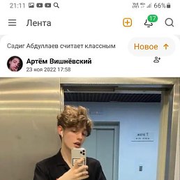 �����, ������, 43 ����