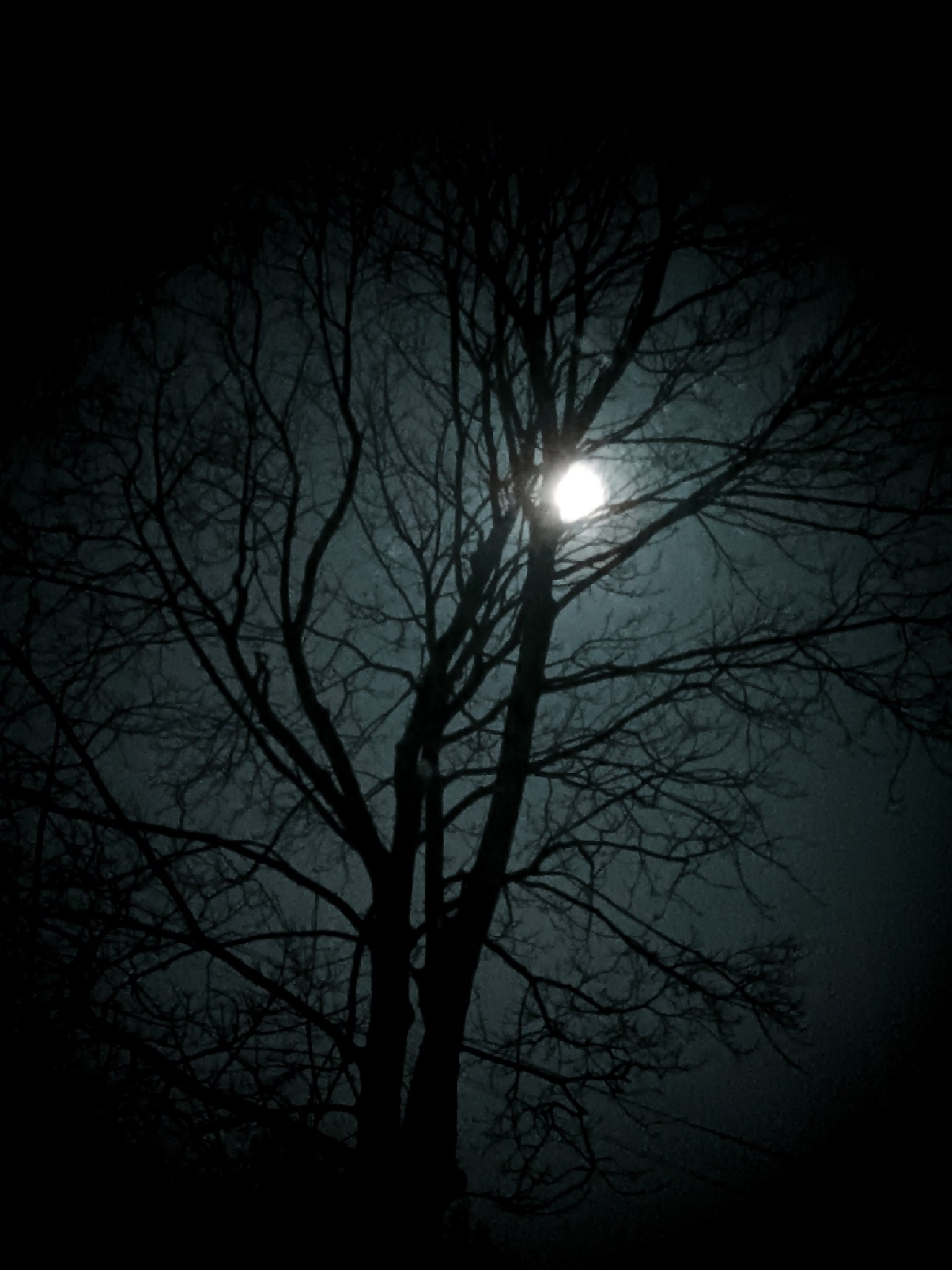 Benvolio Montecky - 12  2025  23:34