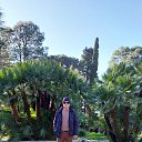 ���� ���������, ��������, 73 ���� - ��������� 23 ������ 2024 � ������ ���� ����������