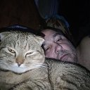 ���� ����, �������, 45 ��� - ��������� 20 ������� 2024 � ������ ���� ����������