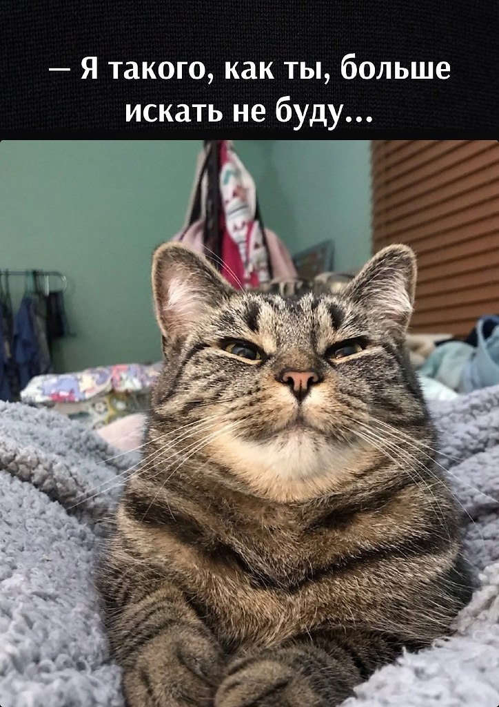 ��� ���� � ����� �� �� - 21 ��� 2026 � 16:55 - 2