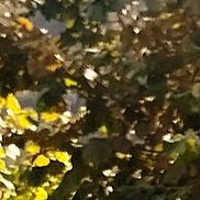 ����, 40 ���, ������-��-����