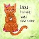 ���� ���������, ������ ��������, 60 ��� - ��������� 16 ������ 2026 � ������ ������ ��������