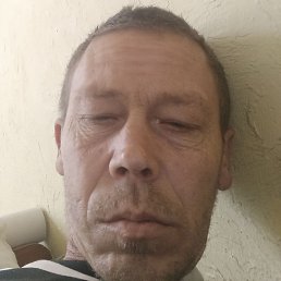 �������, ����, 41 ���