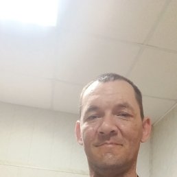 , 44, 