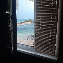 ������, ����, 51 ���