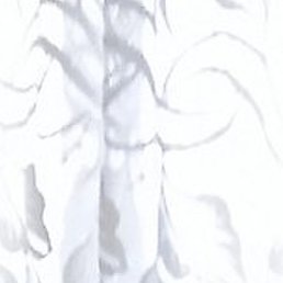 �����, ������������, 65 ���