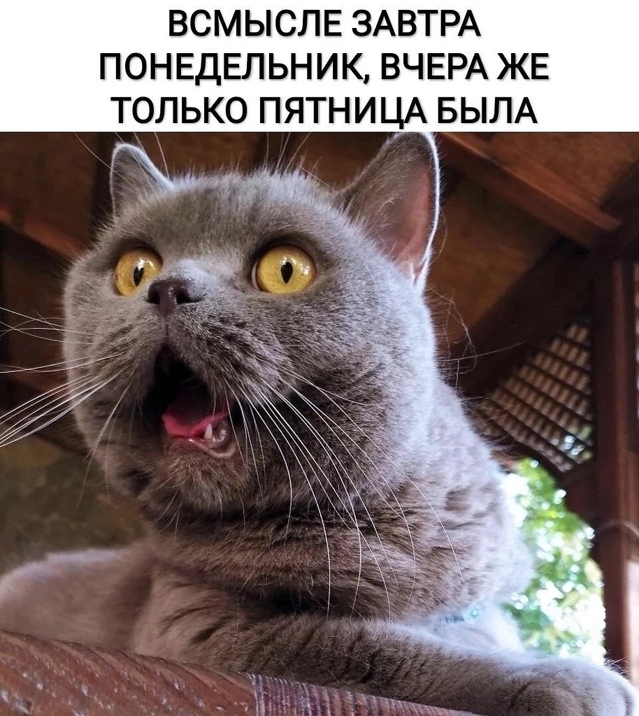       - 5  2025  13:52