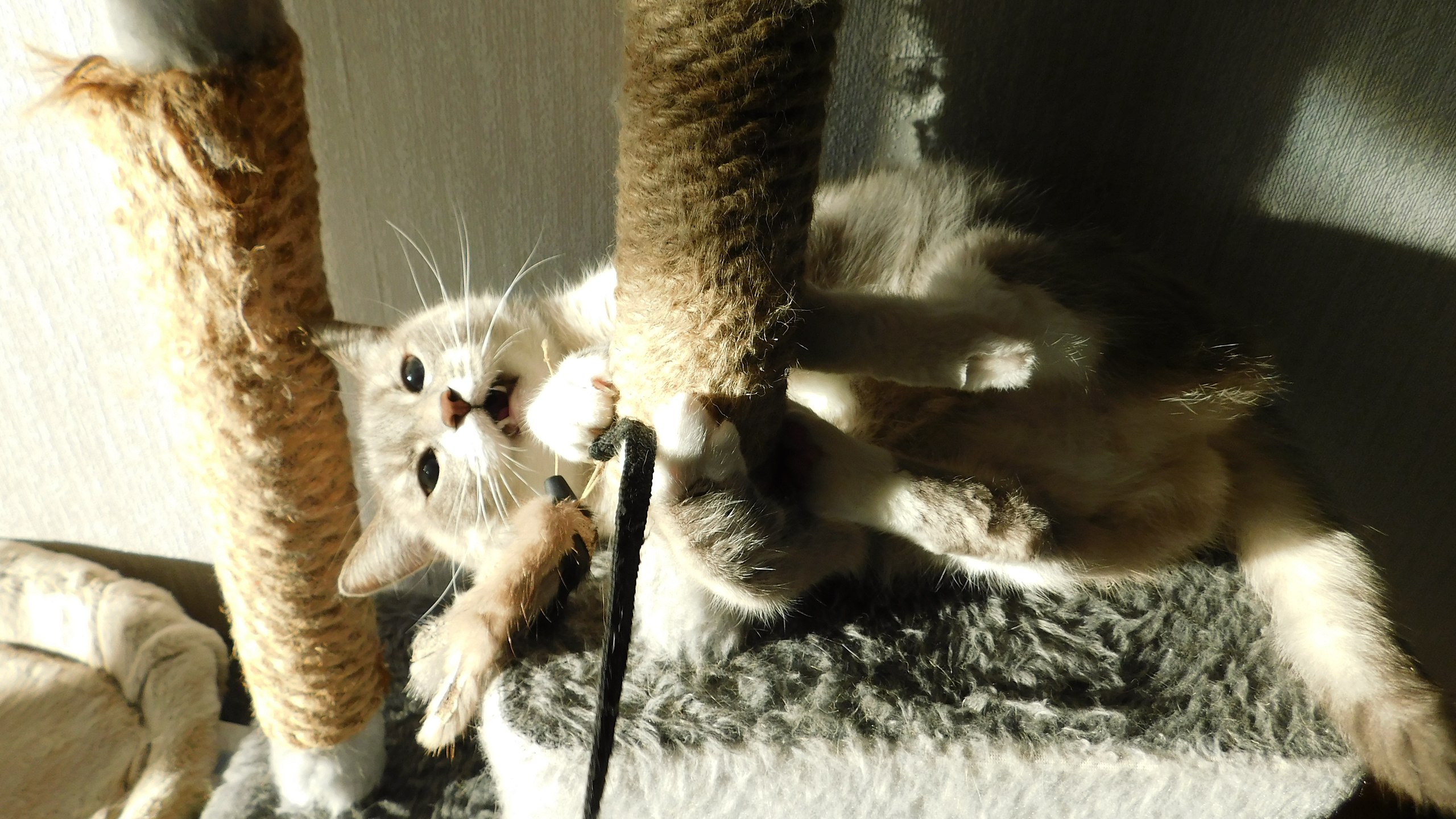 Helena  - 21  2025  22:52