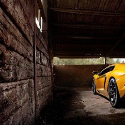 ������, �����-���������, 41 ���