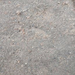 ����, ������, 46 ���