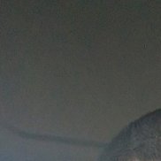 �������, 47 ���, �����-���������