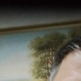 ����, ���������, 44 ����