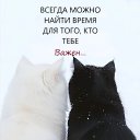  , -, 60  -  22  2025    