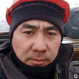 �����, ������, 37 ���