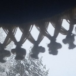 �����, ����������, 35 ���