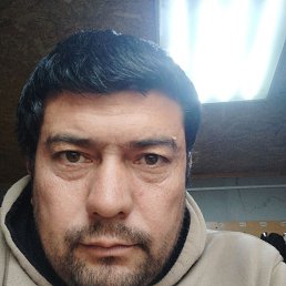 , 40, 