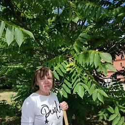 ������ ����������, ������������, 50 ���