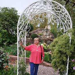 �������, ������������, 66 ���