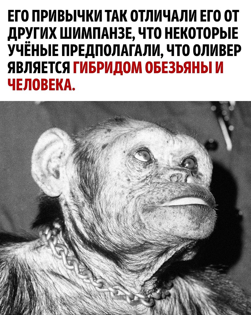 ������ - ��������� ������� ��������������! - 2