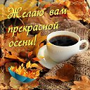 ���� ������, �����, 54 ���� - ��������� 23 ������ 2023 � ������ ������ ��������