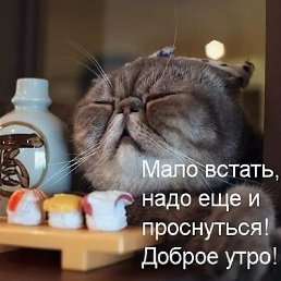 ��������, ���������, 52 ����