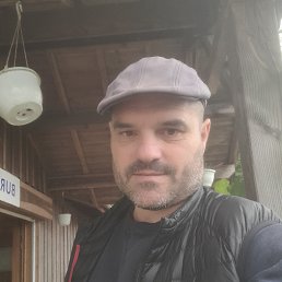 ���� Pierre, �����, 45 ��� - ��������� 15 �������� 2025