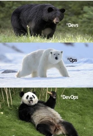 Devops-  Cloud-       ?      ...