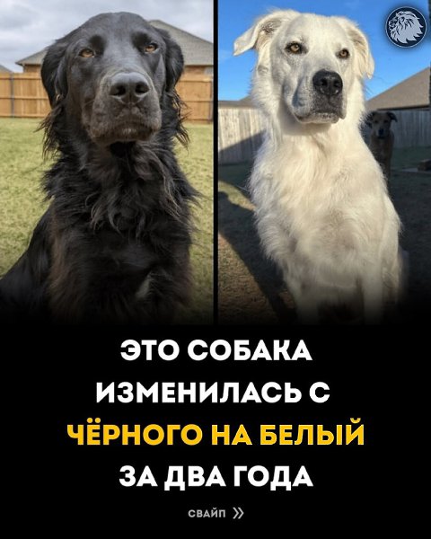�����-�� �� ��� ��������� �������-������. � ������ ��������� ��� ���� ����� ����������� � ����� ��� ...