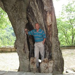 ���������, 52 ����, ���������