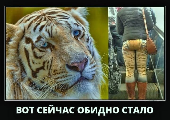   - 12  2025  14:36