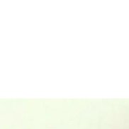 �����, 40 ���, ���������