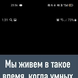 ���� �������, ������, 44 ���� - ��������� 17 ������ 2023