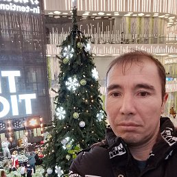 ���� ��������, ������, 41 ��� - ��������� 5 ������ 2026