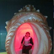 ��������, 56 ���, ������� ����