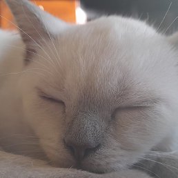 ����, �����������, 47 ���