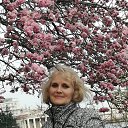 ���� ������, ���������, 64 ���� - ��������� 2 ������ 2026 � ������ ���� ����������