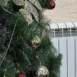 ������, �����������, 67 ���