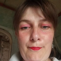 ���, 41 ���, ����