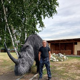 , 49 , 