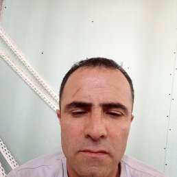 , 38, 