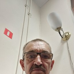 , 61, 