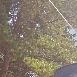 ��������, �����������, 49 ���