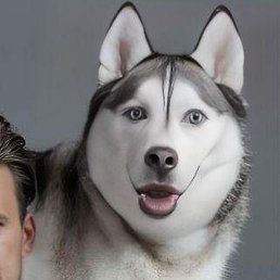 �������, ��������, 45 ���